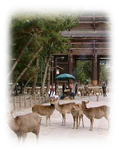 todaiji